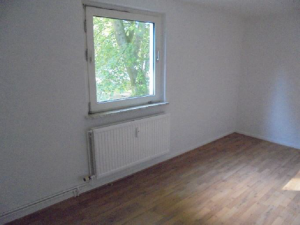 Salzgitter Wohnung Brigittenstraße